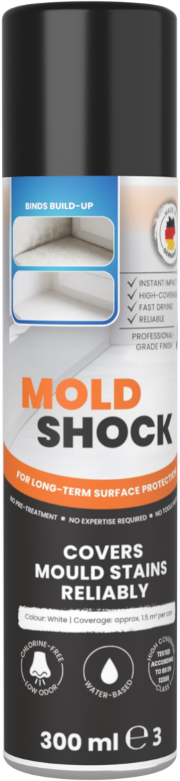 MOLDSHOCK 300 ml can